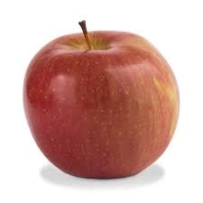 Fuji Apple 